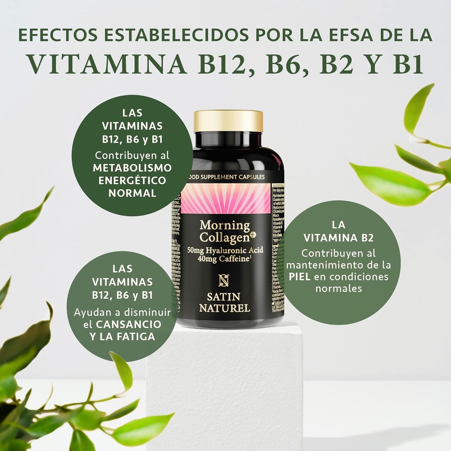 Colageno Hidrolizado Puro (550 mg de Colageno Marino) + Acido Hialuronico + Vitamina B12 y B6 - ALTA DOSIS